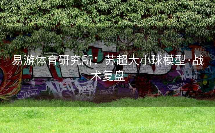 易游体育研究所：苏超大小球模型·战术复盘