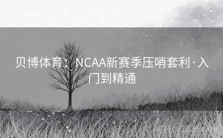 贝博体育:NCAA新赛季压哨套利·入门到精通 第2张 贝博体育:NCAA新赛季压哨套利·入门到精通 第2张