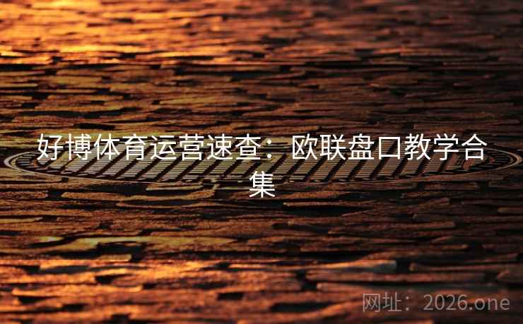 好博体育运营速查：欧联盘口教学合集